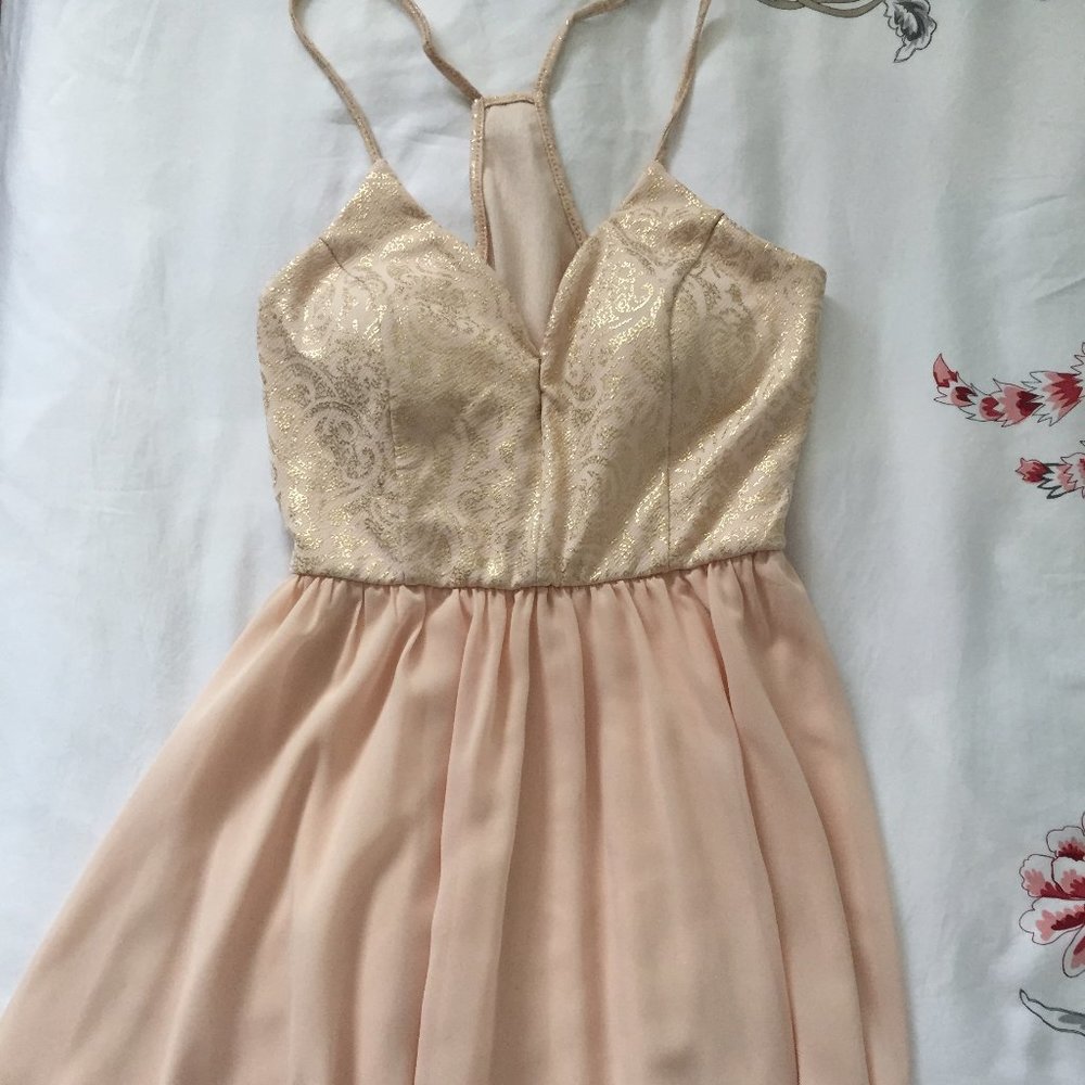 Blush Pink/Creme Dress with Gold Detailed Designs